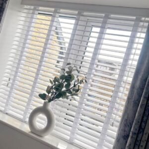 Windows Blinds