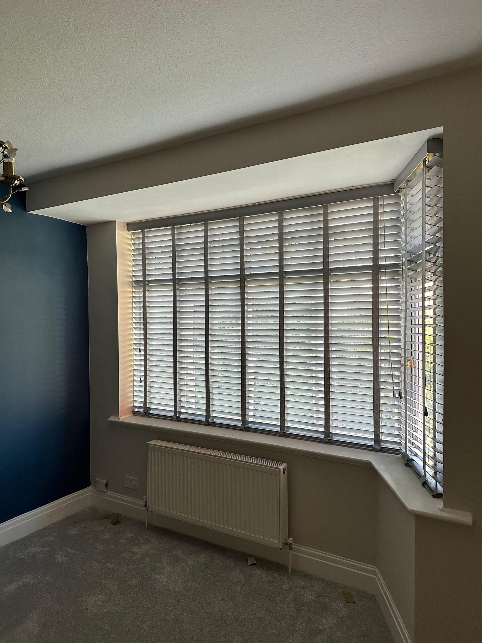 Windows Blinds
