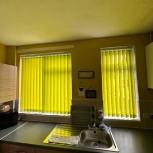 Windows Blinds